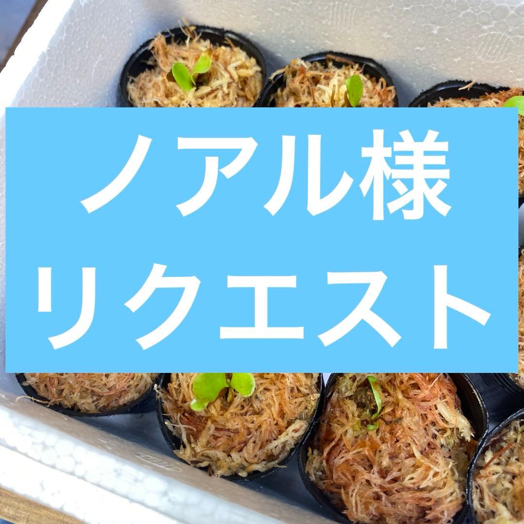 ノアル様　リクエスト