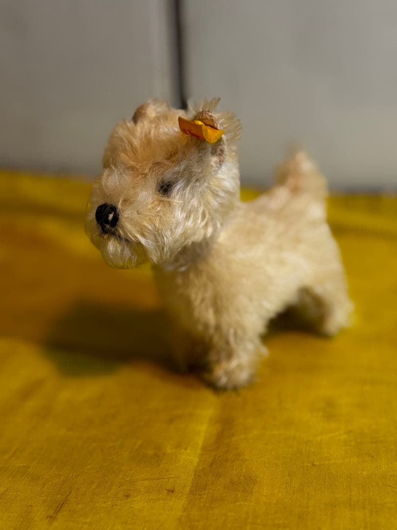 シュタイフのウエスティのぬいぐるみ テディベアのノア | ドイツ最高級テディベアのシュタイフ日本公式サイト