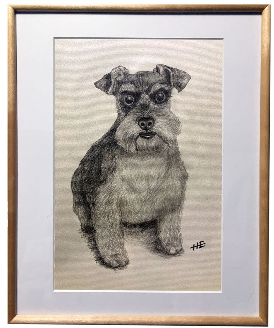 天国へ逝った、ミニ・シュナのMerryを想いながら描いた鉛筆デッサン。