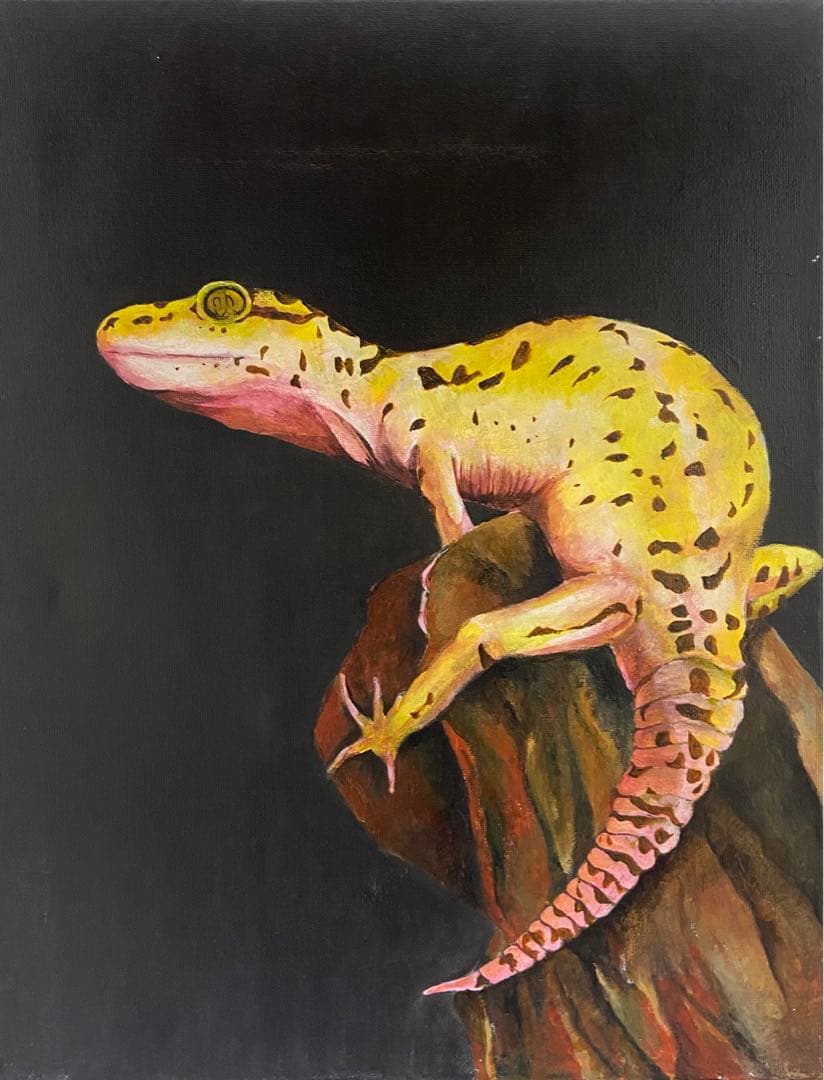 アクリルで描いたヒョウモントカゲモドキ