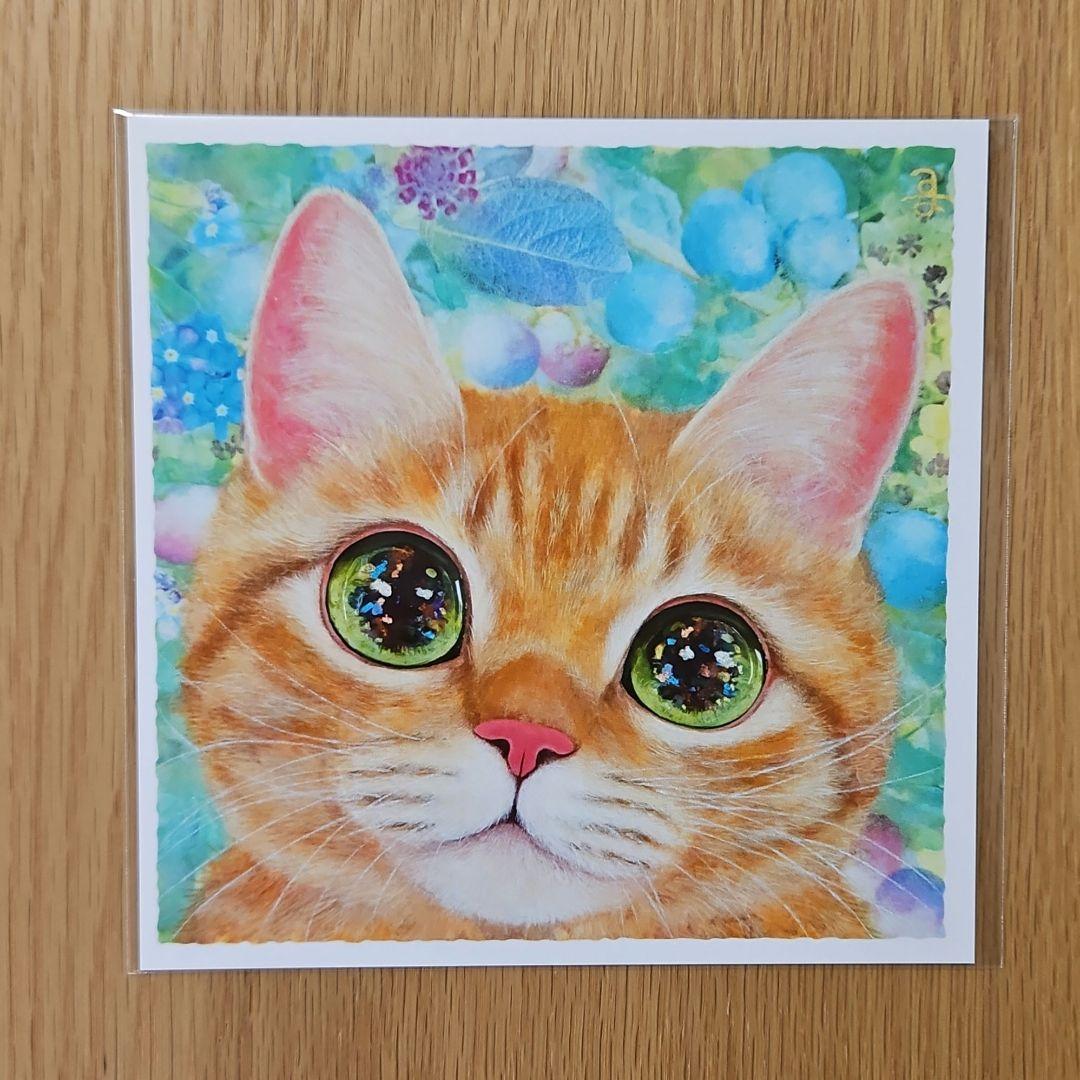 新品】ポストカード 福嶋吾然有 ふくしまあさり 茶トラ 猫画 - メルカリ