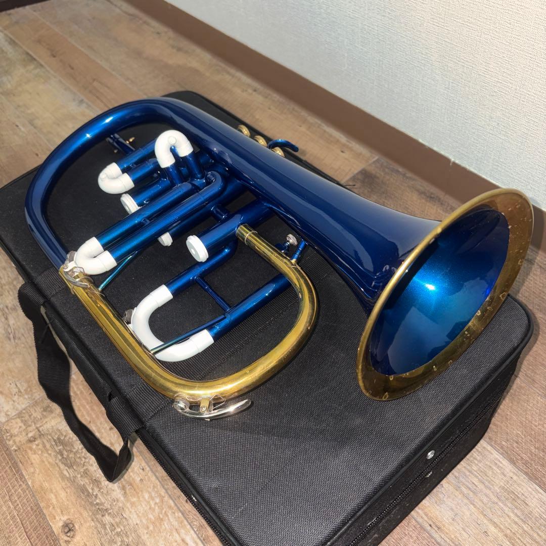 フリューゲルホルン　ブルー＆ゴールド