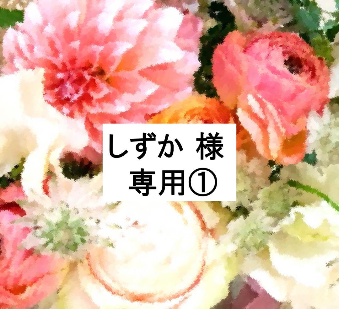 【しずか ①】2020年 最新版MTDSGQ DWE 未使用美品多数