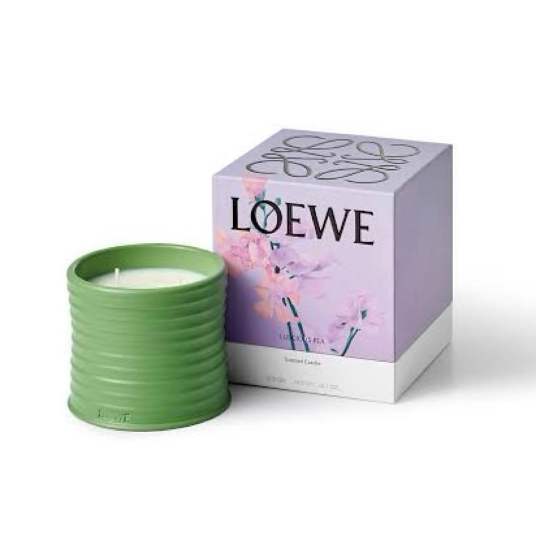 LOEWE キャンドル　LUSCIOUS PEA