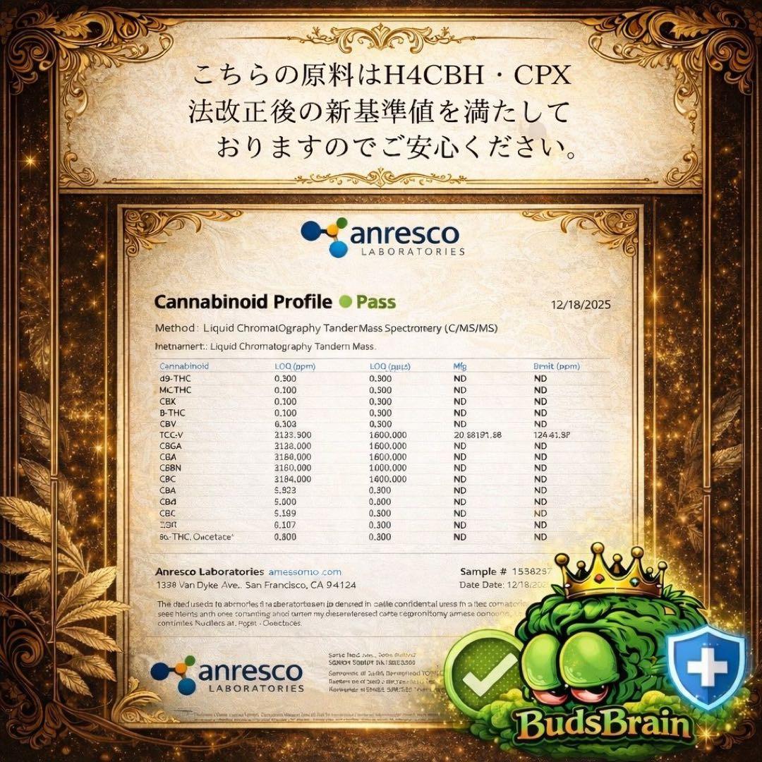 BudsBrain H4CBH・CBD【Premium】 LIQUID 1ml BudsBrain 1ml