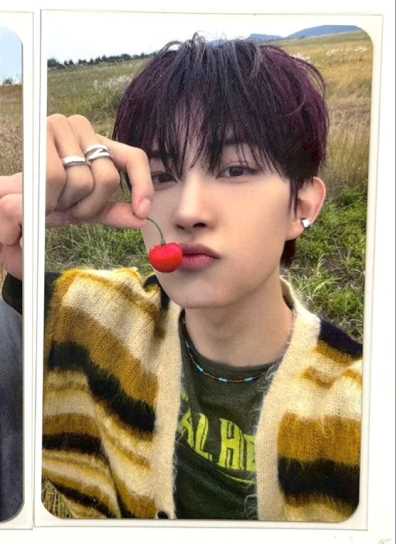 ALD1 ゴヌ EUPHORIA サノク 事前収録 限定 トレカ A ALD1 アルノ EUPHORIA サノク 事前収録 限定 トレカ - メルカリ