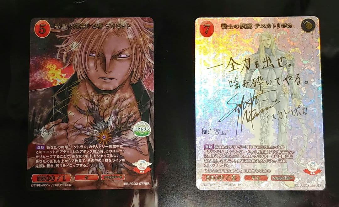 《BR》FGO【惑星を破壊する者　デイビット、黒のテスカトリポカ】金箔サイン入り