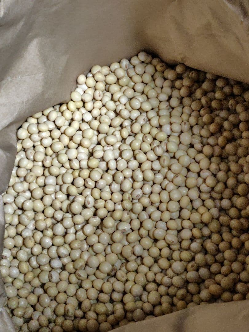 aki@cbv7年岐阜県産低農薬大豆フクユタカ15キロ aki@cbv7年岐阜県産低農薬大豆フクユタカ15キロ aki@cbv様専用7年岐阜