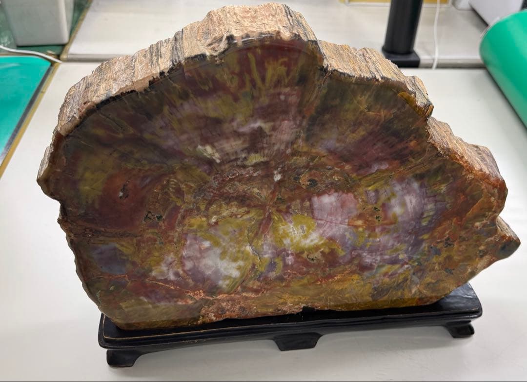 珪化木 珪化木 入荷しました。 これも現品限り。 珪化木とは、ネットによると