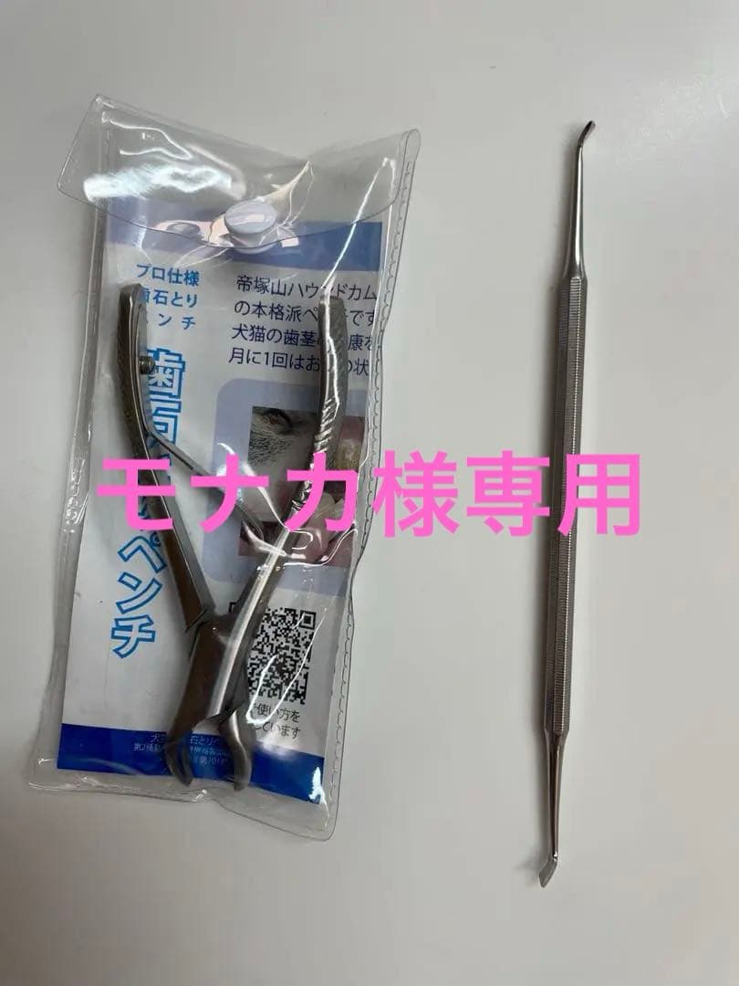 ペット用歯石取りペンチ 約15cm と　スケーラー 楽天市場】【P2＆クーポン配布中】愛犬・愛猫歯石取りペンチとスケラー