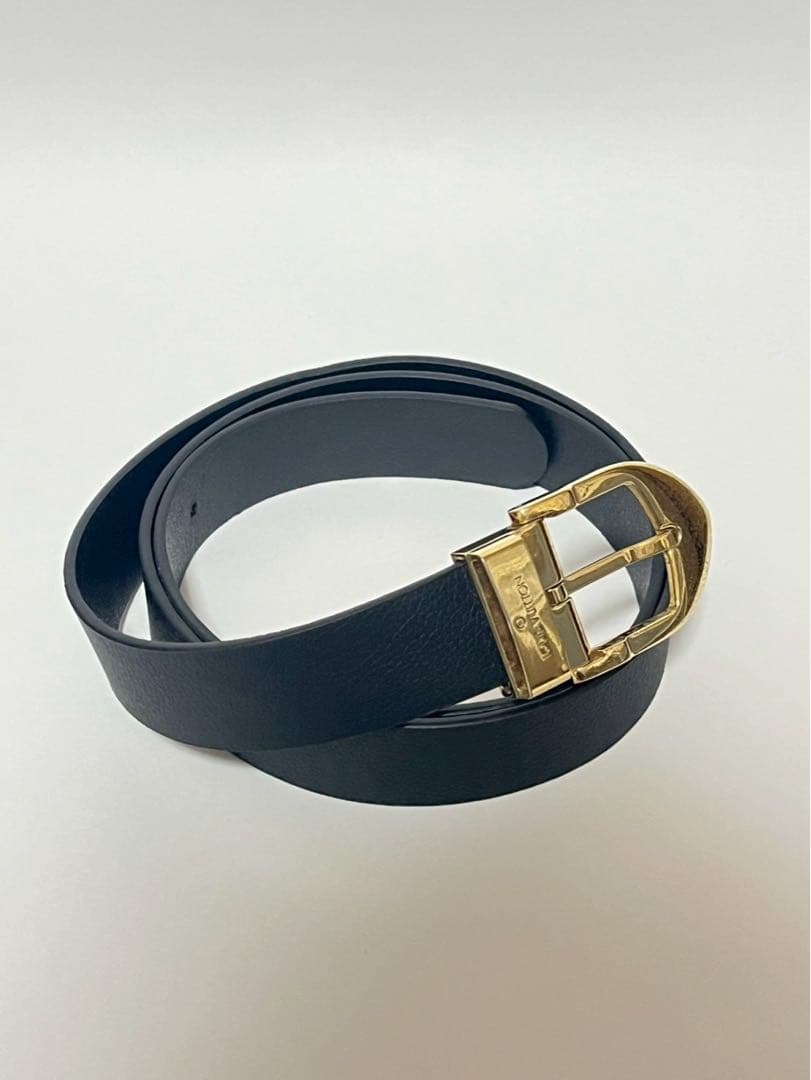 LOUISVUITTONルイヴィトン ベルト 金色バックル ルイ・ヴィトン 男性用ベルト ゴールドのバックル_ルイヴィトンベルト_