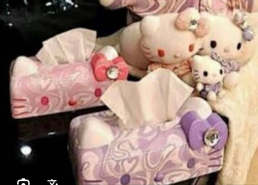 Rady ハローキティ ティッシュケース 2026年最新】rady キティ ティッシュの人気アイテム - メルカリ