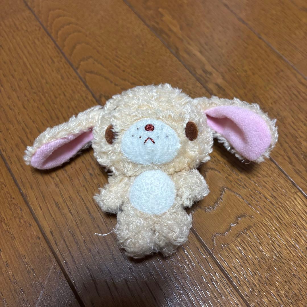 シュガーバニーズ　ラテウサ