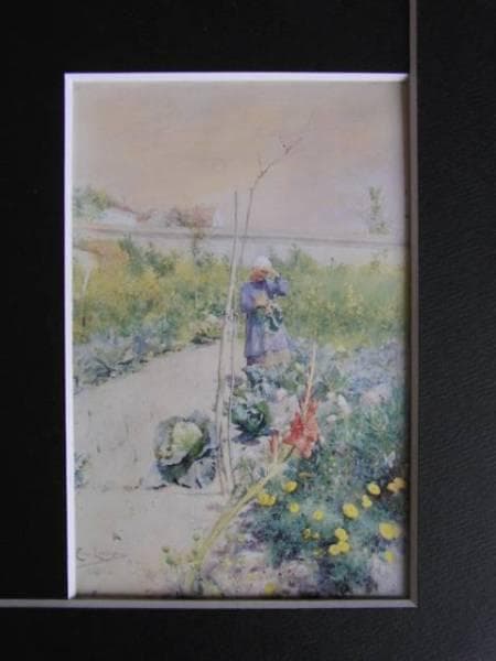 カール・ラーション、家庭菜園で、希少画集画、新品額装付、状態良好