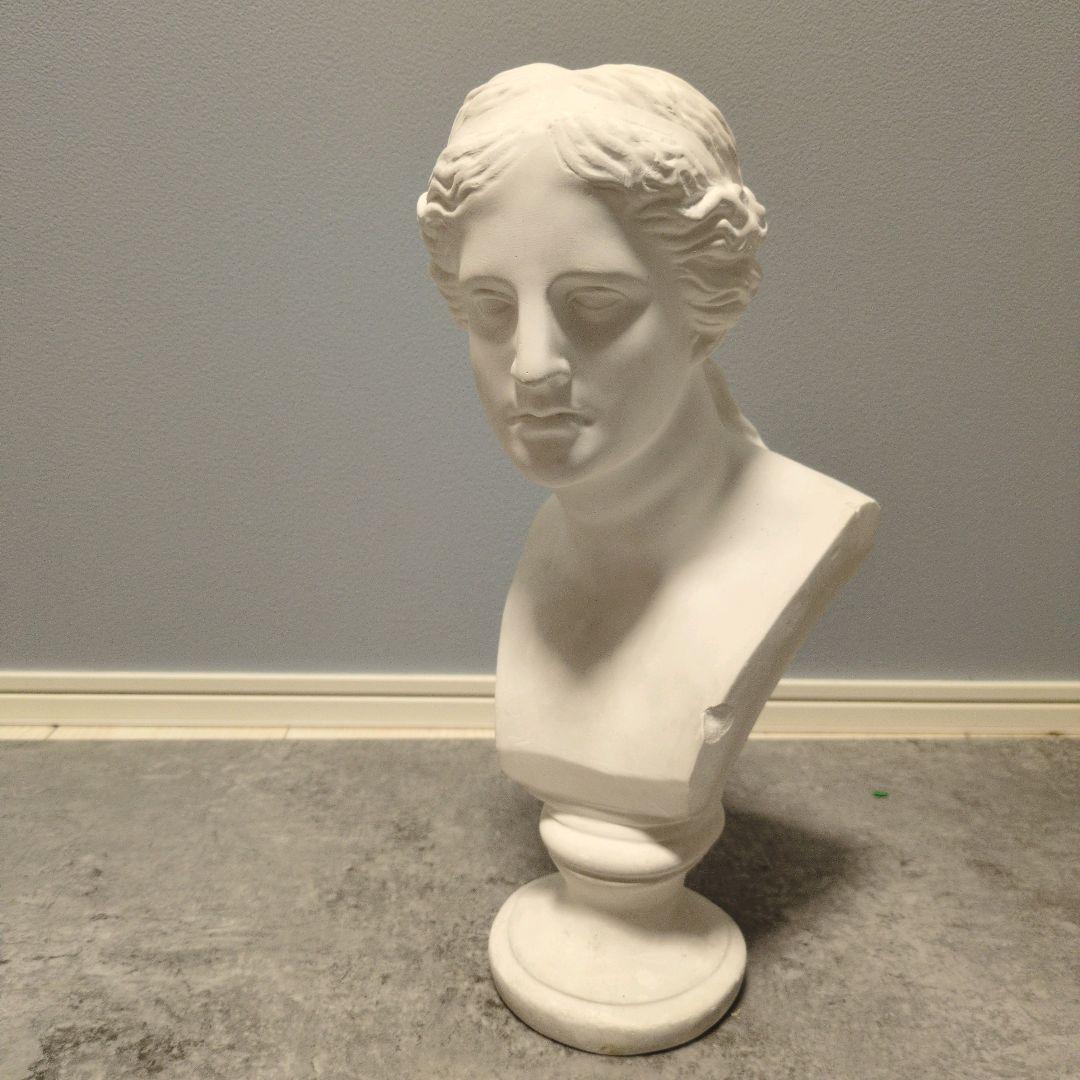 石膏像　ミロのヴィーナス　胸像　オブジェ　デッサン　美術　インテリア