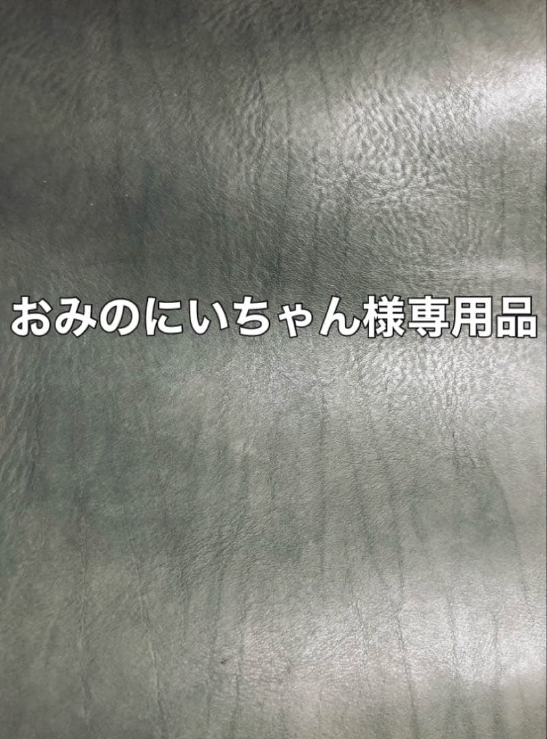 おみのにいちゃん品 レザーホルスター