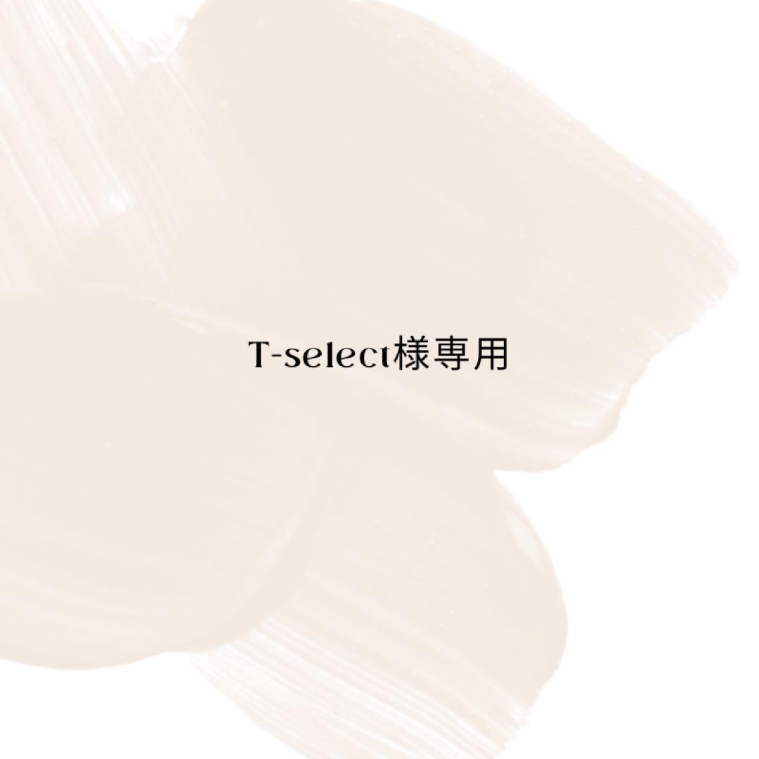 T-select　ウルリスセット