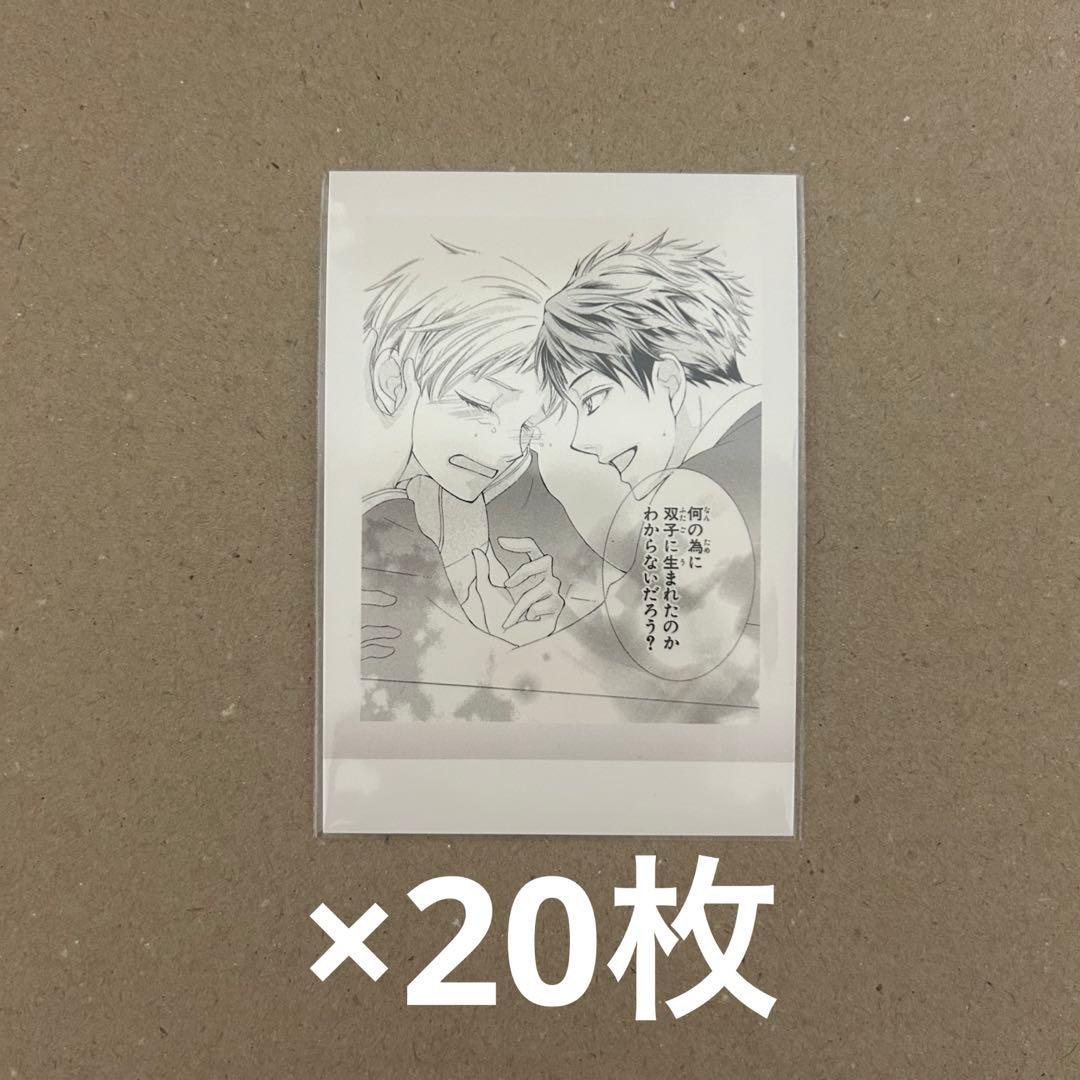 桜蘭高校ホスト部　ぱしゃこれ 再販分】桜蘭高校ホスト部 ぱしゃこれ: トレーディングカード