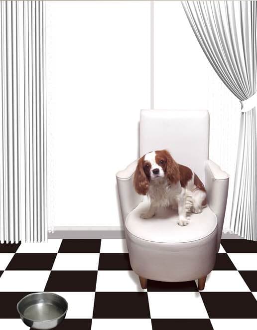 キャバリアグッズ絵画F8号キャンバス地にジークレイによるグラフィックアート f76c1ac5a7e4be24981901cb5fda2f