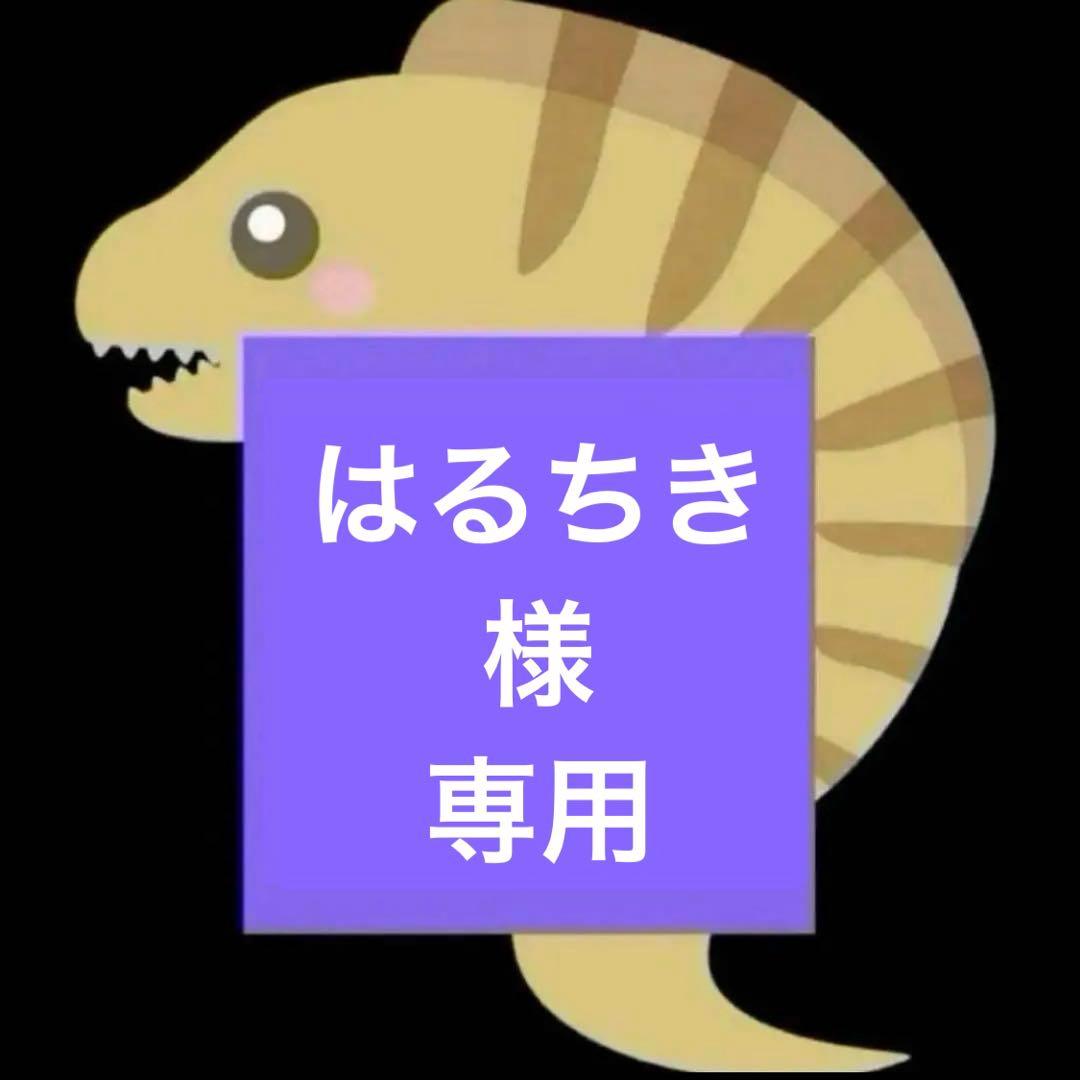 はるちきアースラ風　ウィッグ