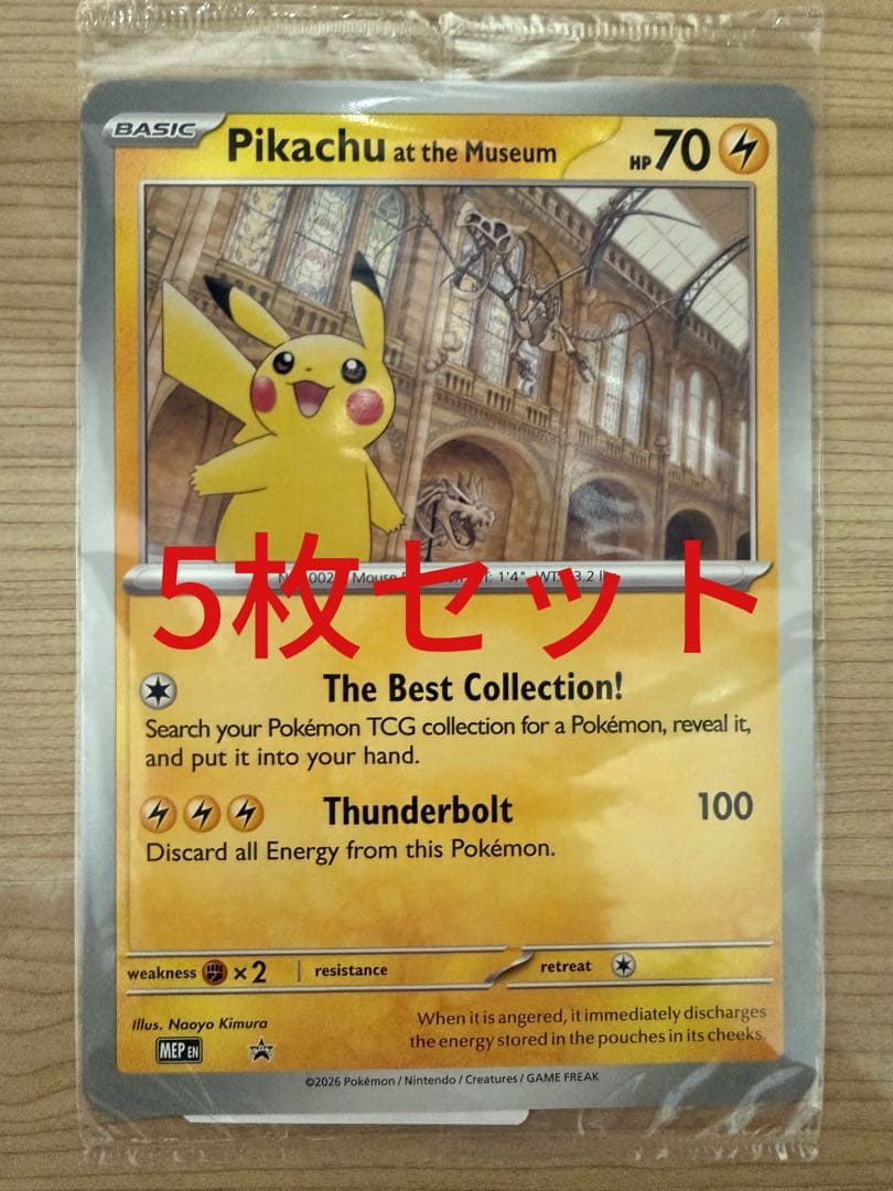 Pikachu at the Museum ピカチュウ ロンドン自然史博物館