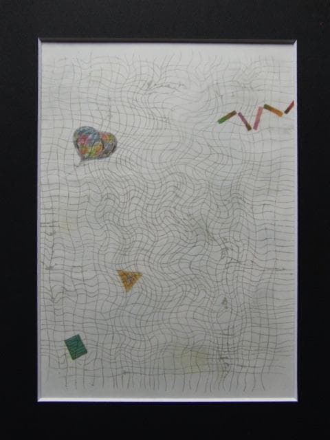 堀文子、【希少な画集より、半透明な特殊紙、状態良好、新品高級額装付、送料無料】