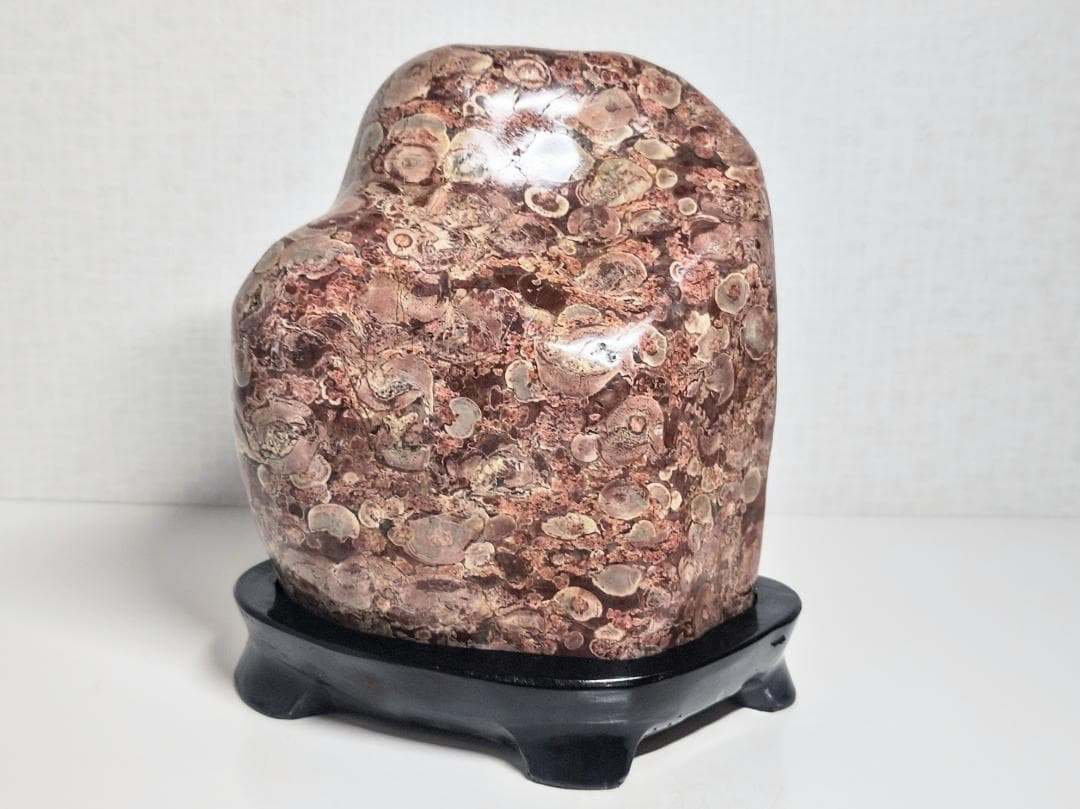 越前 2.4kg 梅花石 紋石 原石 鑑賞石 自然石 誕生石 鉱物 鉱石 水石