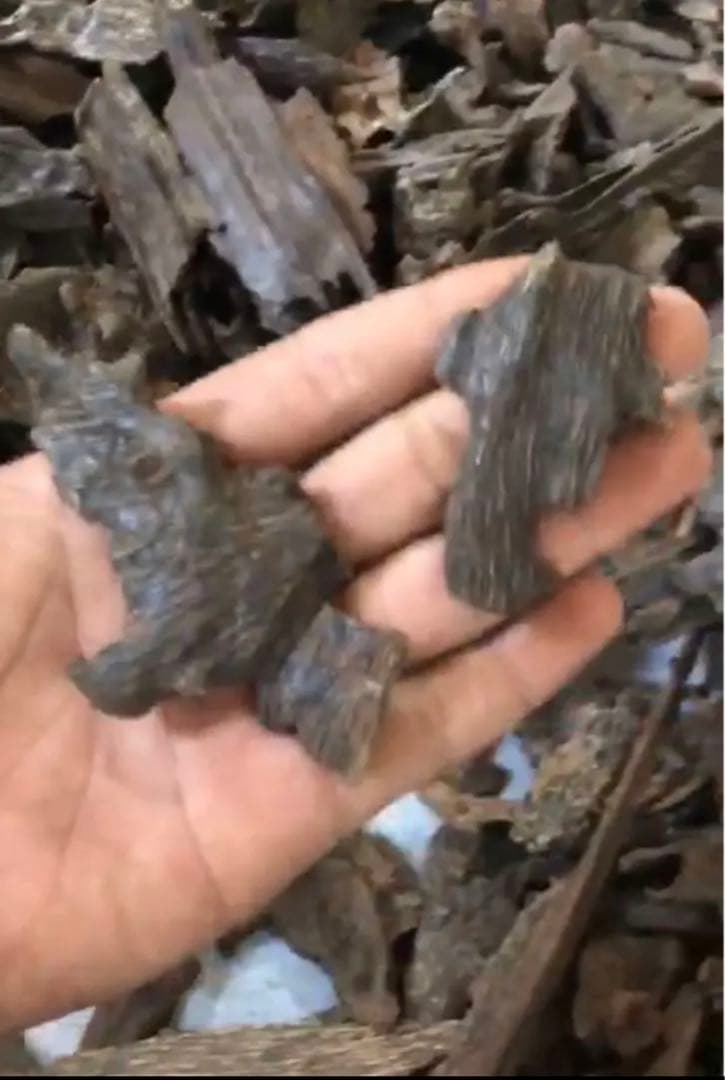 カリマンタン島産 香料樹木材 1kg