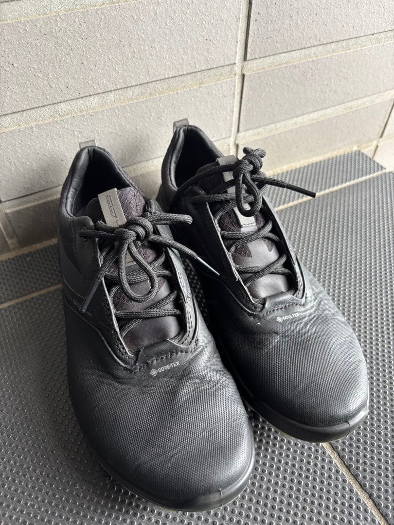 エコー W ゴルフ バイオム G5／レディース