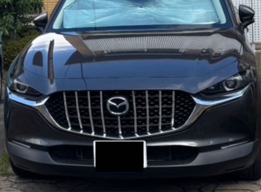 MAZDA CX-30 バーチカルグリルアタッチメント9本ライン