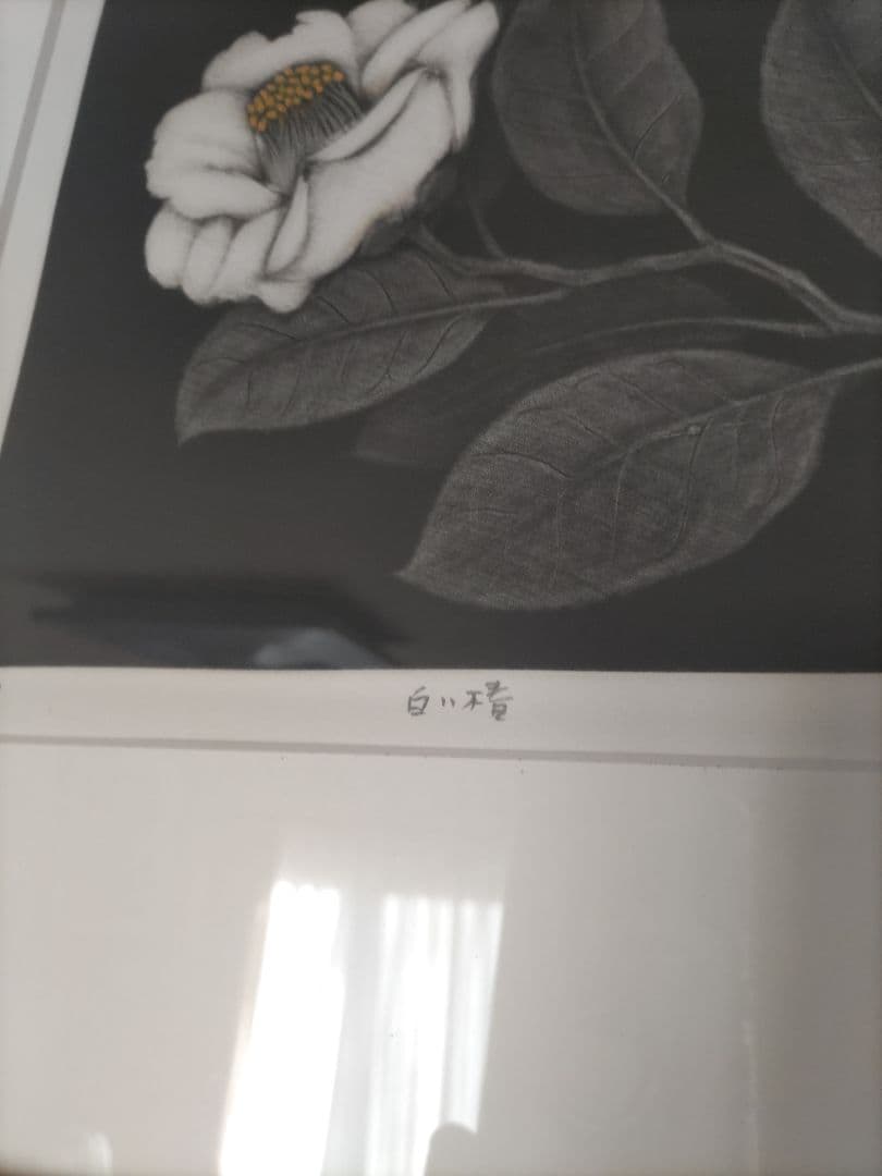 小泉淳作 白い椿 版画 - メルカリ