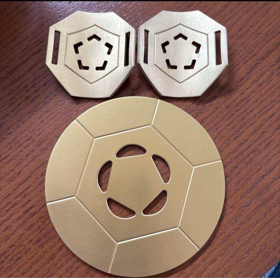 フィオーラ　FTW ビューラプレート　Gフォーグ