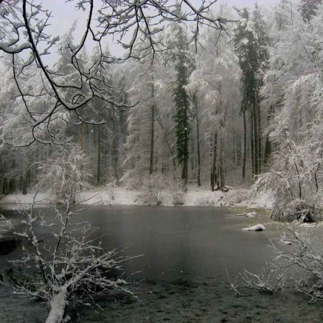 佳音 Nakamichi 700ZXL // Vintage // Legendary Three Head Cassette Deck