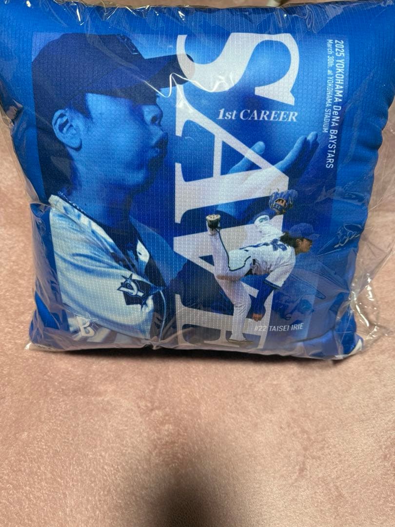 入江大生　ハイライトグッズ　クッション