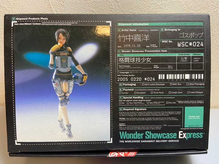 ガレージキット WSC 1/8 格闘球技少女　竹中喜洋　ワンダー ショウケース
