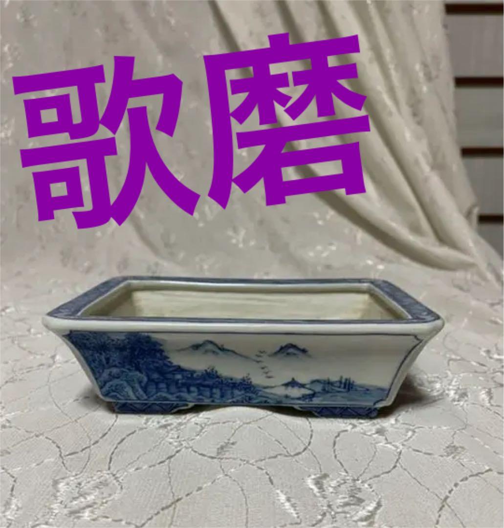 歌磨　盆栽鉢 bonsaisaite_w018077