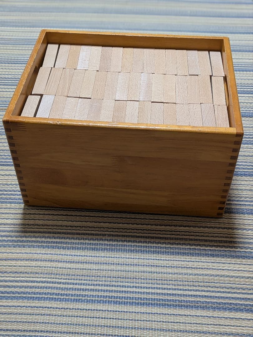 ドクスピール　積み木　直方体　192個　木製ケース付き