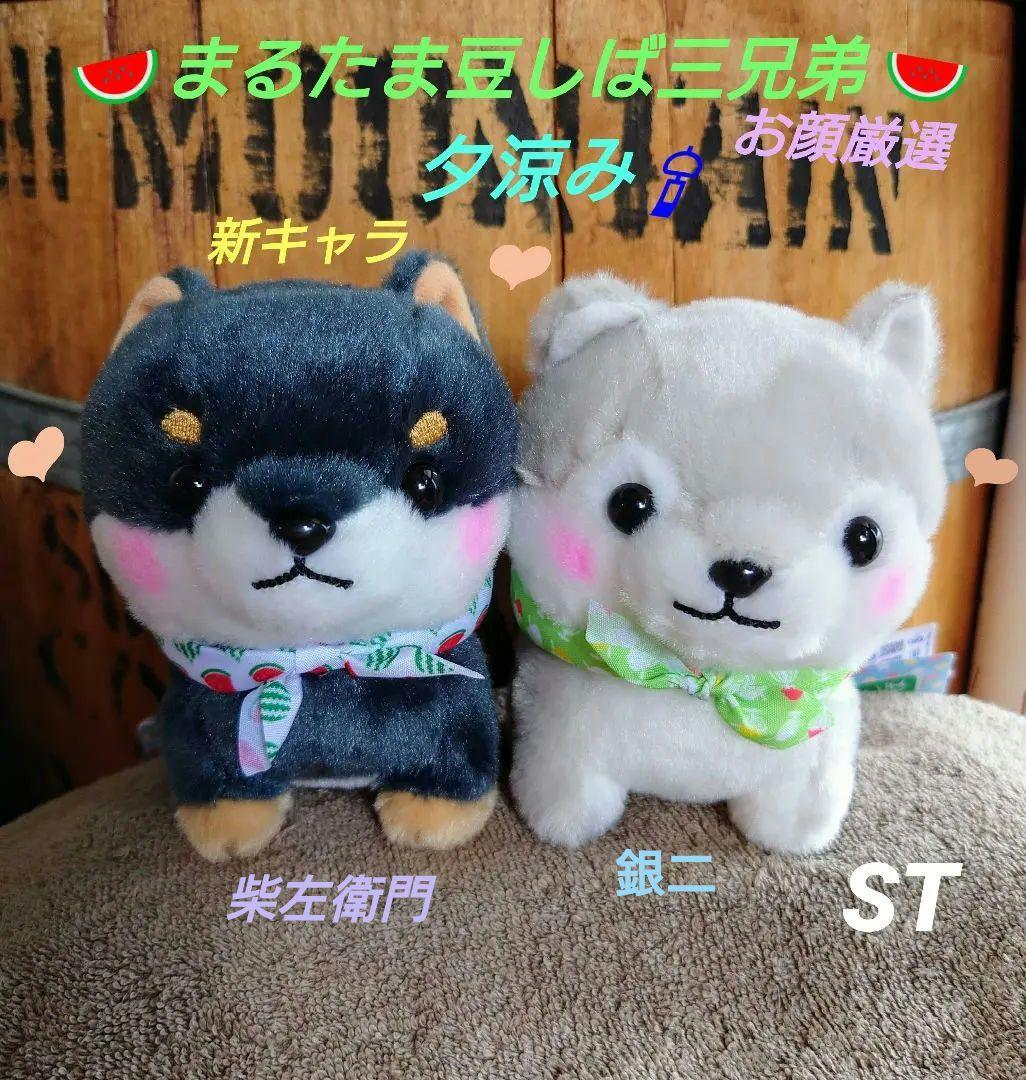 まるたま豆しば三兄弟【新作・新キャラ含】STセット