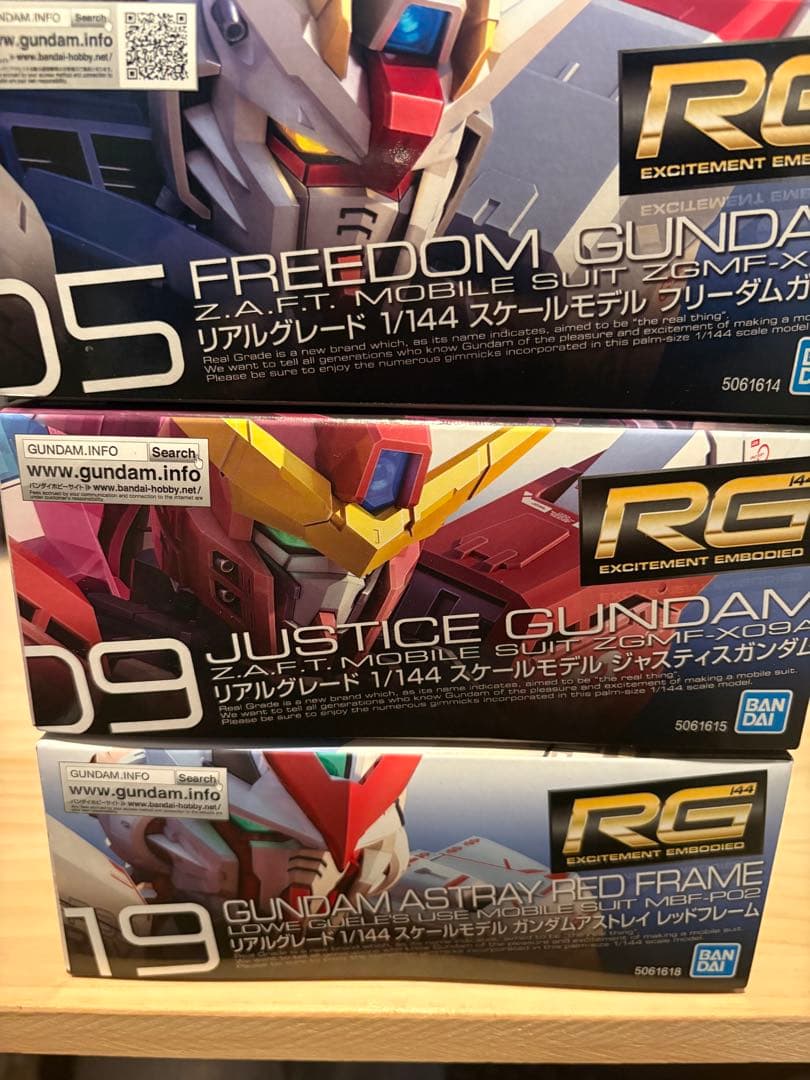 ガンプラまとめ売り3点　RG