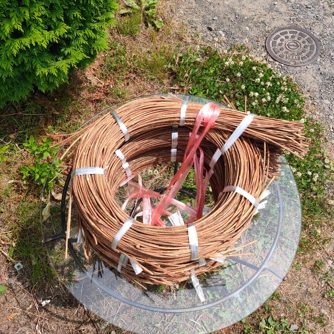 みっくん　青森県岩木山採取　あけび蔓　150cm～　練習用　3kg 黄色いくまさん様専用 青森岩木山採取 あけび蔓 150cm～ 15kg 1 - メルカリ