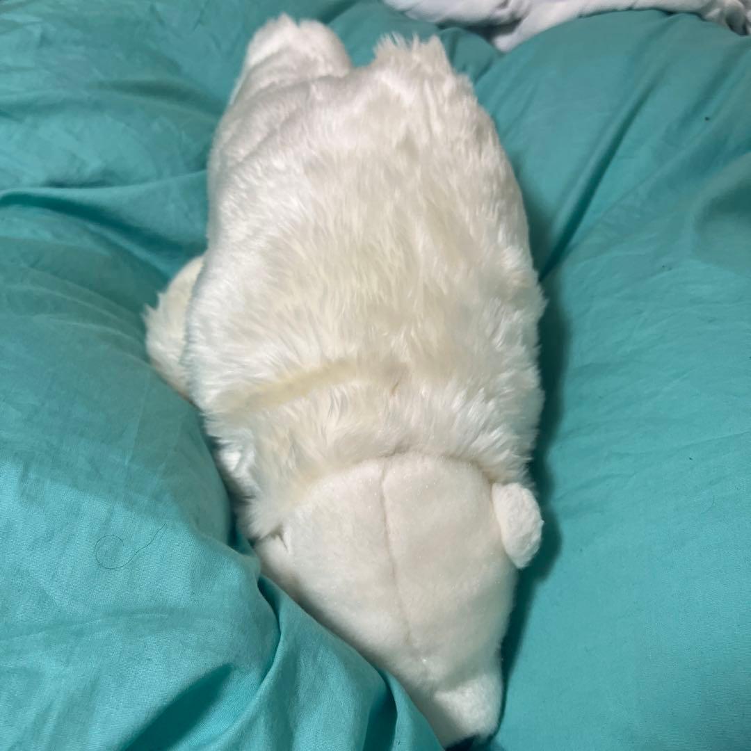 ホッキョクグマのぬいぐるみ