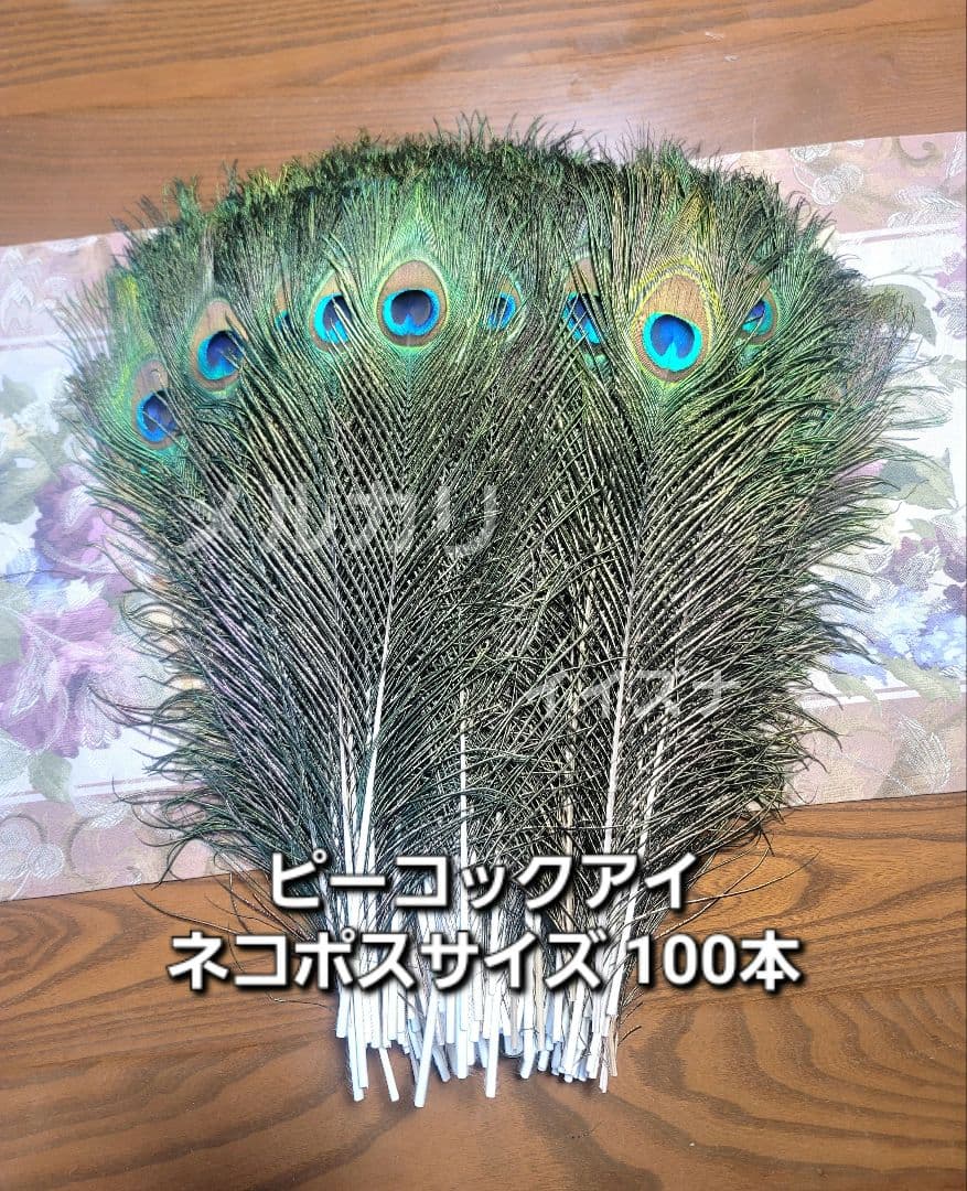 ピーコックアイ 100本 コエポン様ご依頼品
