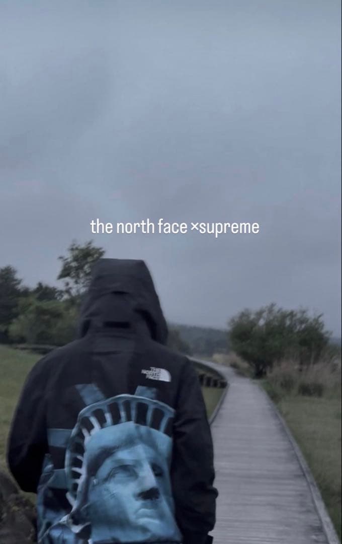 The North Face supreme自由の女神 マウンテンパーカー