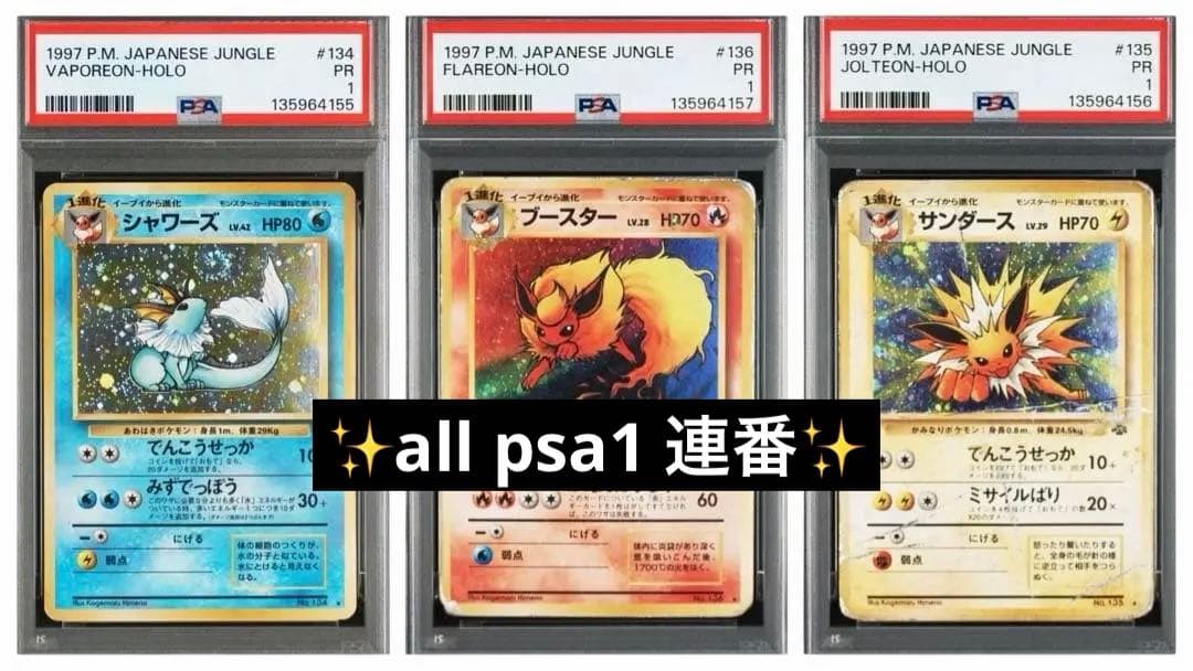 【psa1】シャワーズ　サンダース　ブースター　ポケモンジャングル 連番