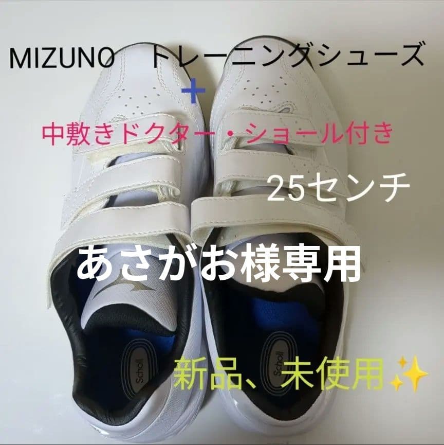 MIZUNO トレーニングシューズ 25センチ 新品