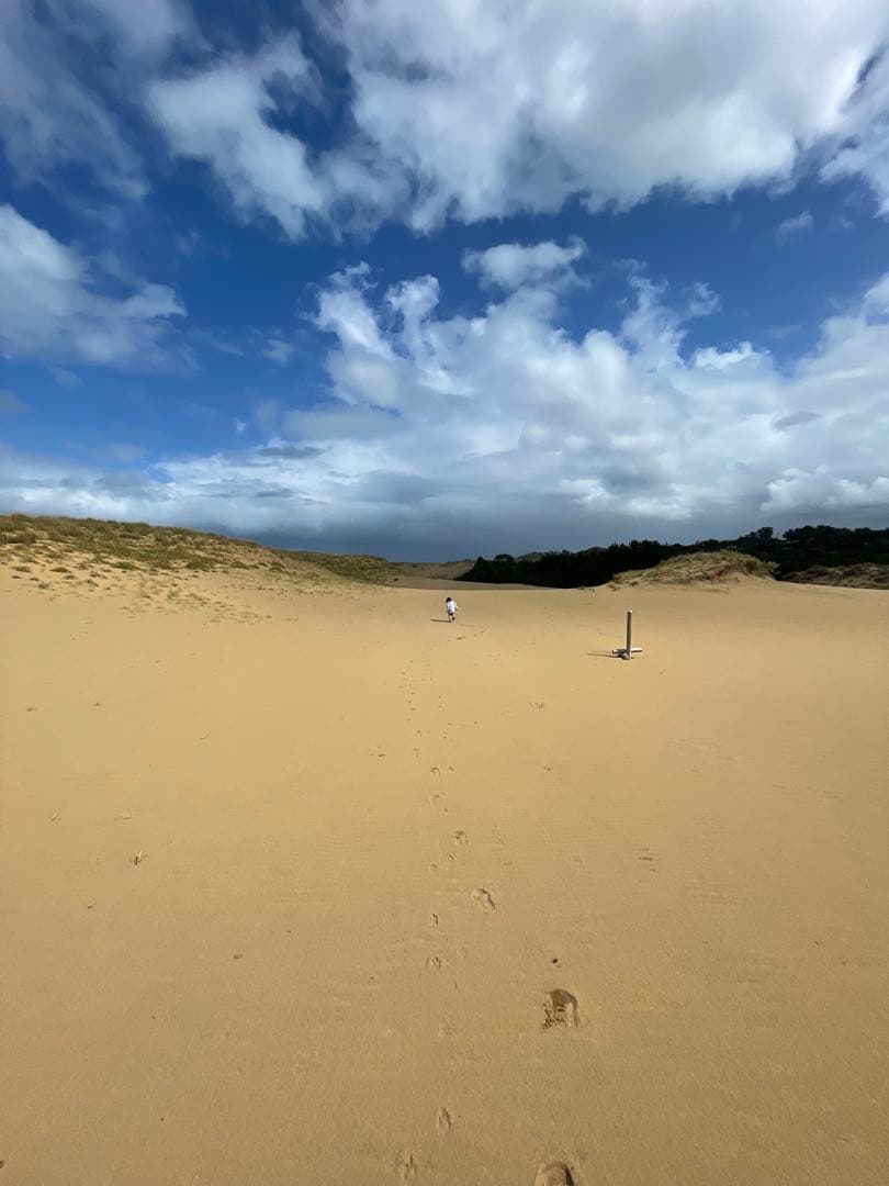 kou様 オーデマ・ピゲ CODE 11.59 パープル 15210OR.OO.A002KB.02 W243177