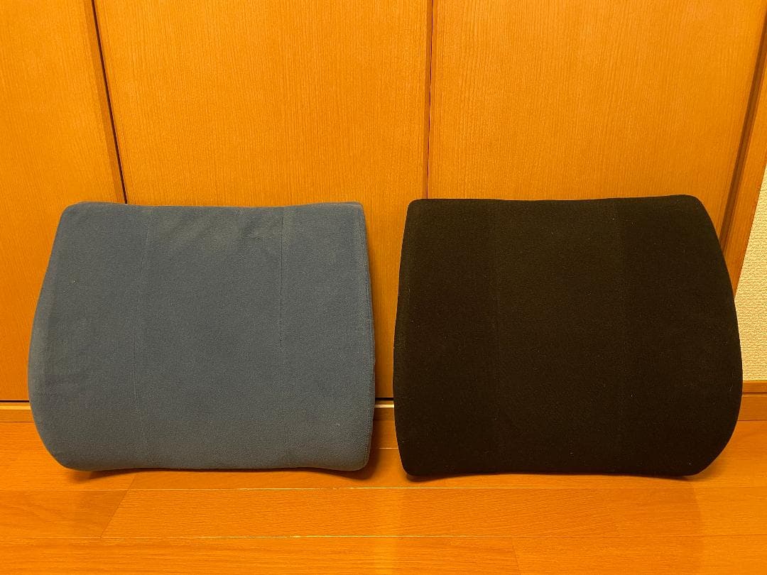 back huggar バックハガー　姿勢矯正　クッション　２点セット