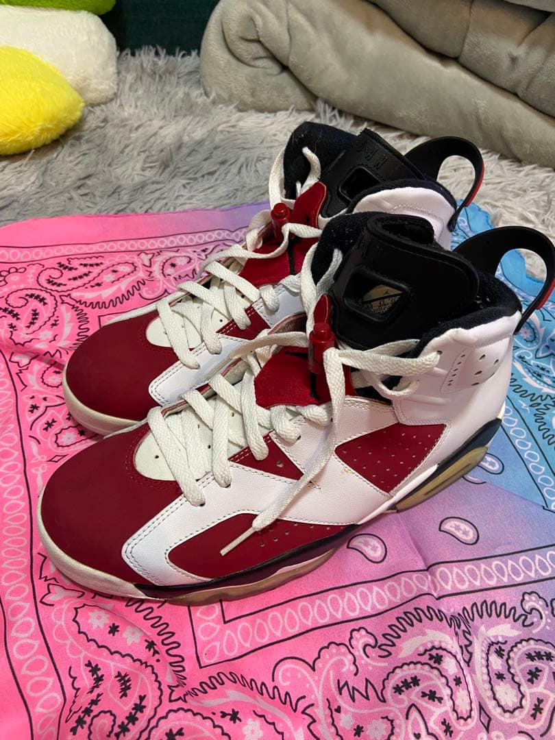 m*5様 NIKEAIR JORDAN 6 Carmine カーマイン 27.5
