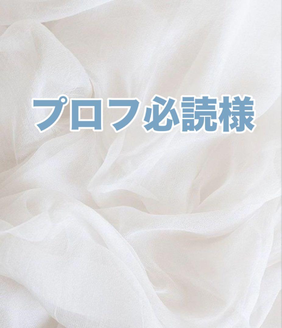 プロフ必読様