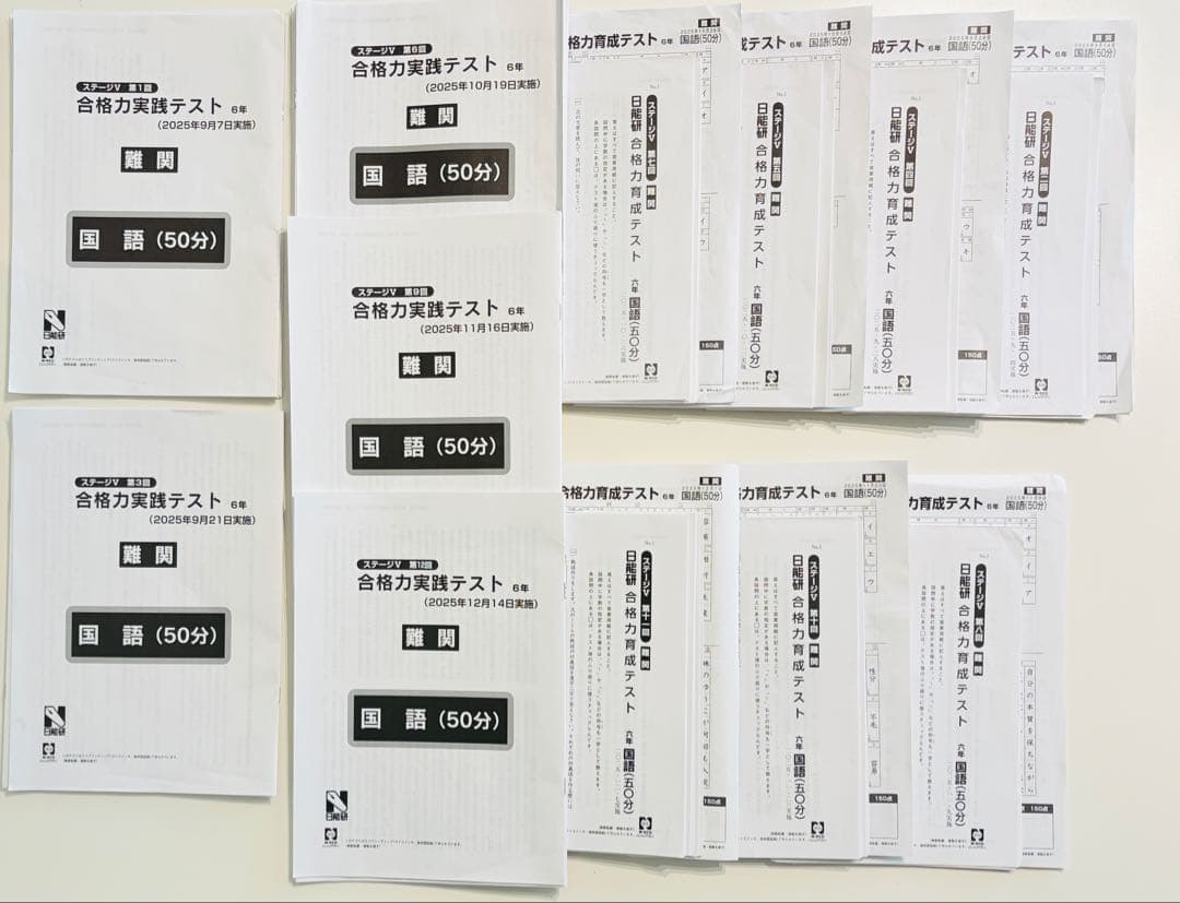 日能研合格力育成テスト 合格力実践テスト 6後期フルセット2025年4教科 難関